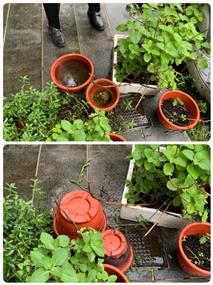 避免花器、盆栽積水