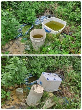 清除積水容器 預防病媒孳生
