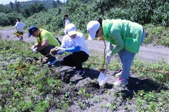 公私攜手於加禮宛海岸種下草海桐
