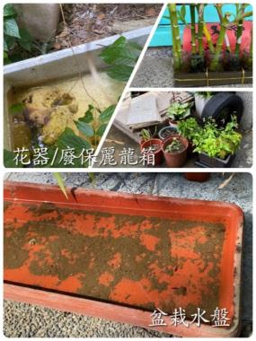 圖6. 常見病媒蚊孳生源2
