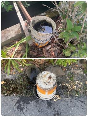 清除積水容器 預防病媒孳生