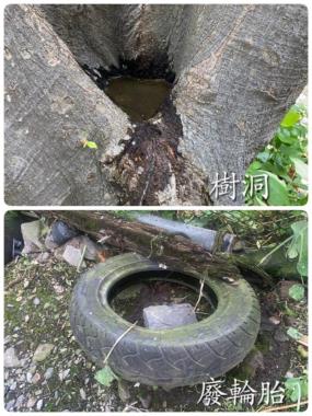 圖5. 常見病媒孳生源1