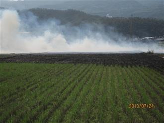 燃燒稻草稽查照片