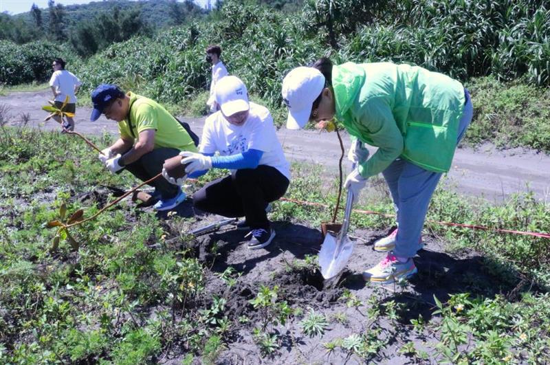 公私攜手於加禮宛海岸種下草海桐