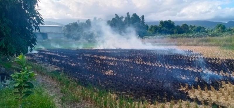 圖片說明：露天燃燒稻草產生的大量濃煙 對人體及環境造成危害