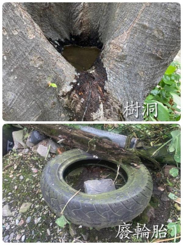 圖片說明：圖5. 常見病媒孳生源1